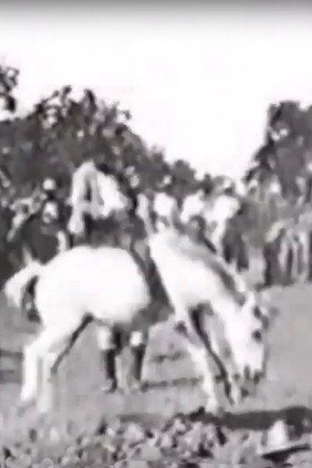 Cavalier sur un cheval rétif (1896) poster