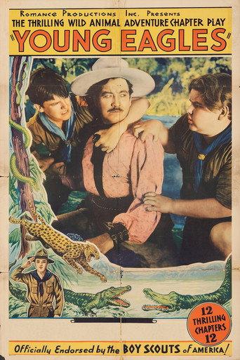 Young Eagles (1934) poster
