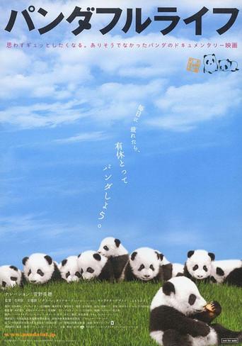 Panda Days (2008) poster