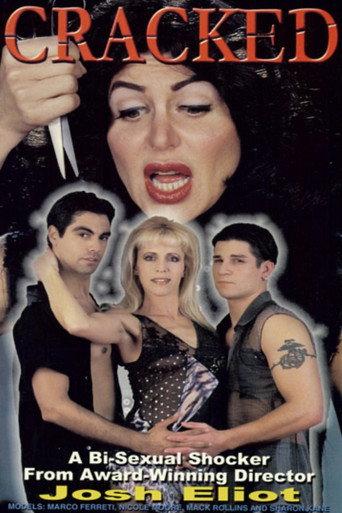 Cracked (2001) poster