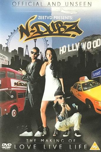 N-Dubz: The Making of Love, Live, Life (2011) poster