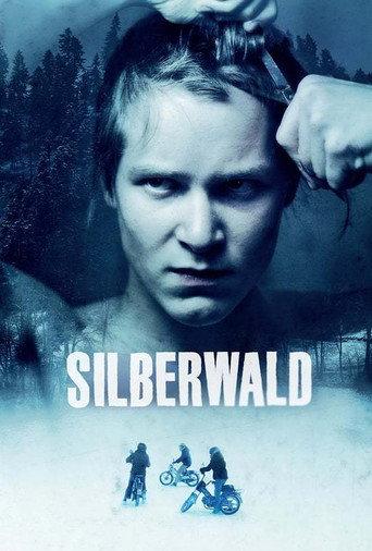 Silver Forest (2011) poster