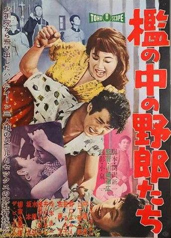 The Guys in the Cage (1959) poster