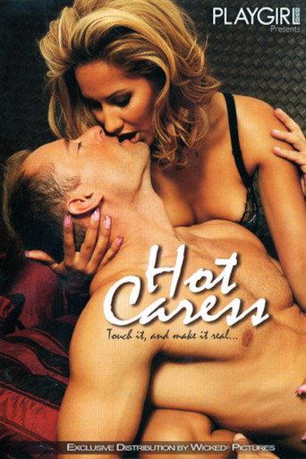 Playgirl: Hot Caress (2006) poster
