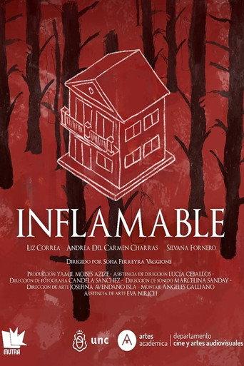 Inflamable (2025) poster