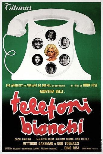 The Career of a Chambermaid (1976) poster