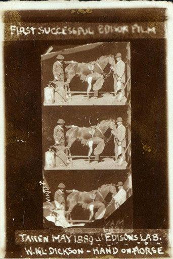 Horse Shoeing (1893) poster