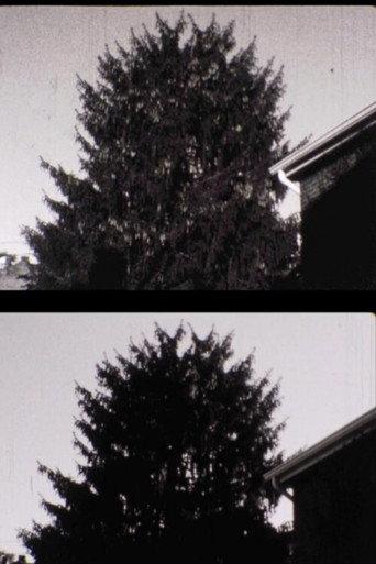 43 street Treelapse (2009) poster