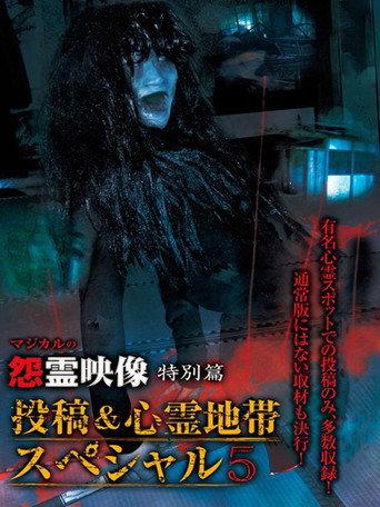 Grudge Spirit Footage Special Edition: Posted & Haunted Area Special 5 (2013) poster