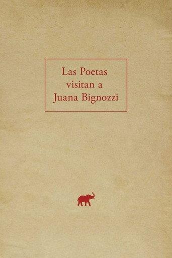 The Poets Visit Juana Bignozzi (2019) poster