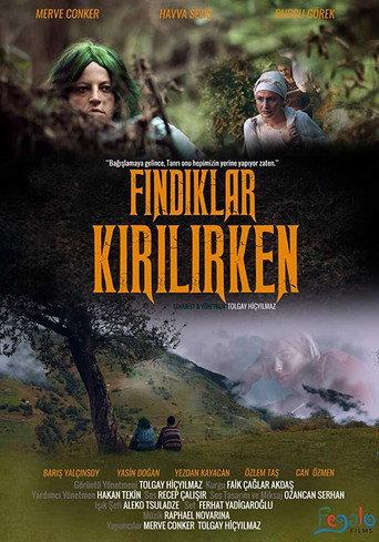 Fındıklar Kırılırken (2018) poster