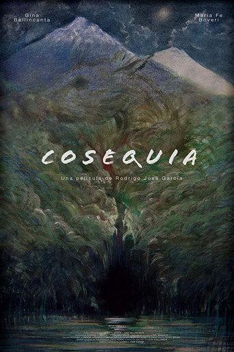 Cosequia (2016) poster
