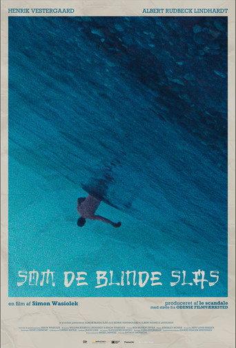 Brawling in Blindspots (2023) poster