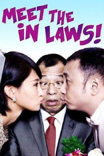 Meet the In Laws (2012) poster
