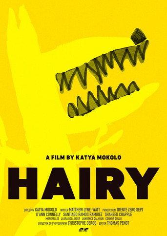 HAIRY (2024) poster