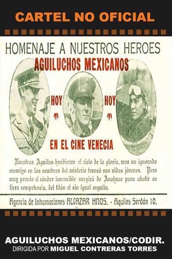 Aguiluchos mexicanos (1924) poster