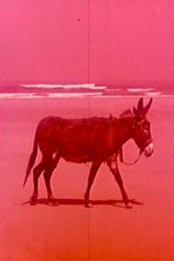 Playa insólita (1962) poster