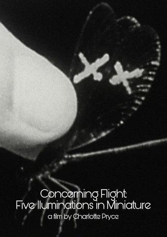Concerning Flight: Five Illuminations In Miniature (2004) poster