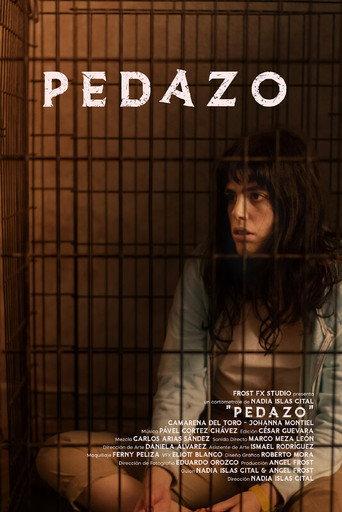 Shards () poster