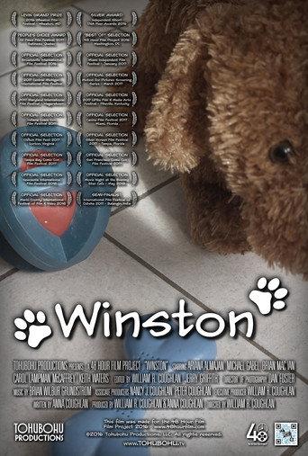 Winston (2016) poster