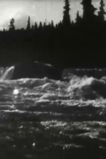 White Horse Rapids (1900) poster