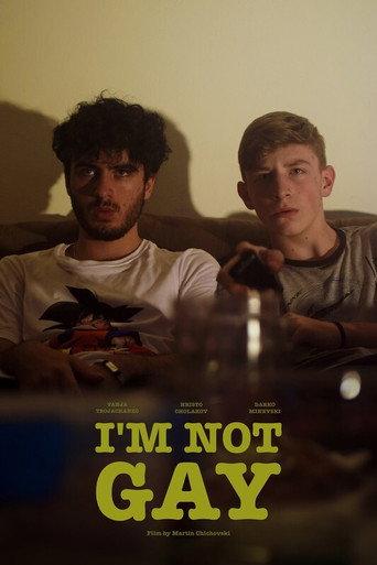 I’m Not Gay (2020) poster