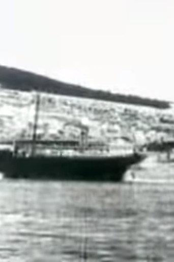 Port of Šibenik (1904) poster