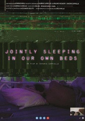 Jointly Sleeping in Our Own Beds (2017) poster