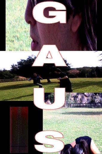 gaus () poster