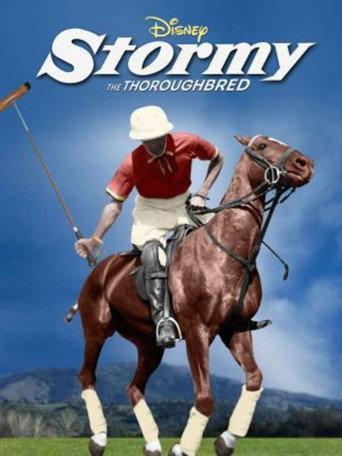 Stormy, the Thoroughbred (1954) poster