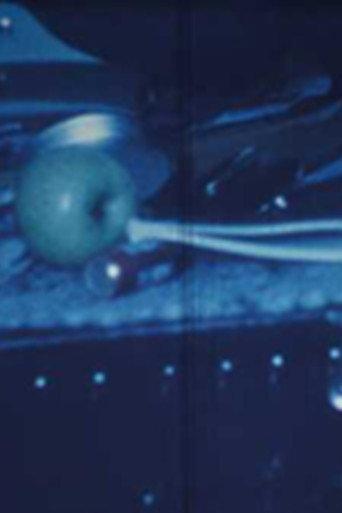 Untitled (1978) poster