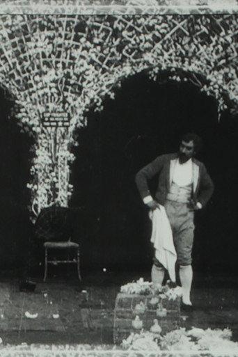 A Wager Between Two Magicians, or, Jealous of Myself (1904) poster