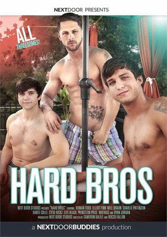 Hard Bros (2020) poster