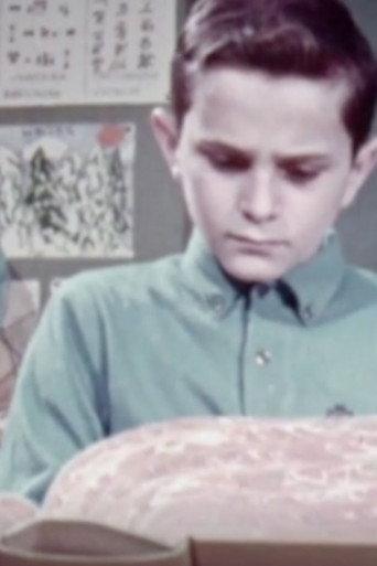 We Discover the Dictionary (1963) poster