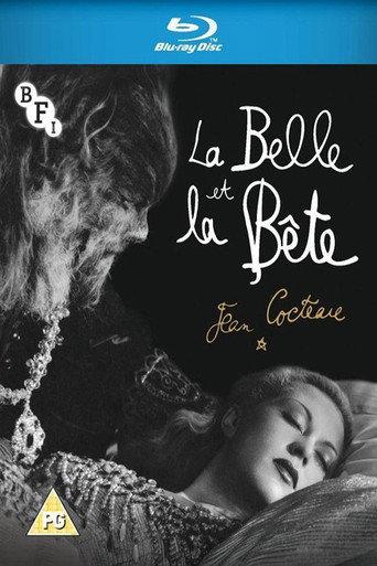 Cocteau's Dreams in Digital, The Story of Beauty and the Beast (2013) poster