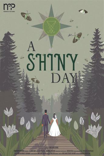 A Shiny Day () poster