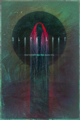 Black Lake (2020) poster