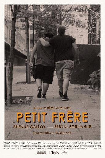 Little Brother (2014) poster