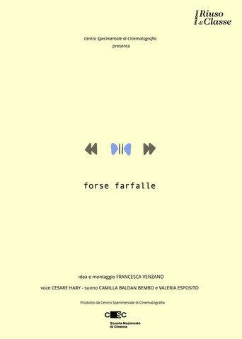 Forse farfalle (2026) poster