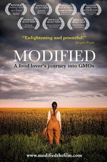 Modified (2017) poster