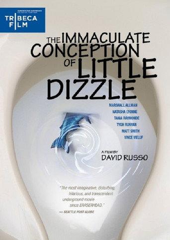 The Immaculate Conception of Little Dizzle (2010) poster