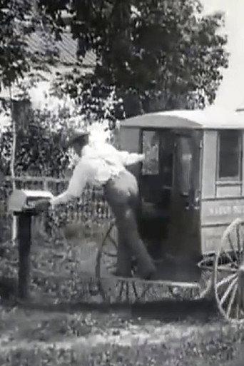 Rural Wagon Delivering Mail, U.S.P.O. (1903) poster