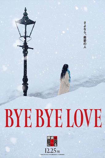 Bye Bye Love: Detective Is in the Bar (2026) poster