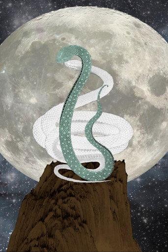 Two Snakes (2015) poster