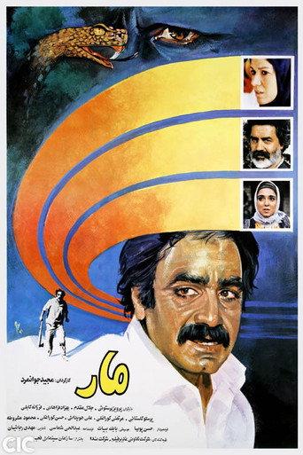 The Snake (1991) poster