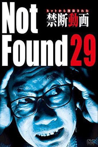 Not Found 29 (2017) poster