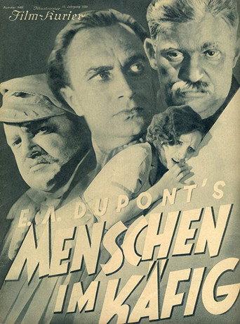 The Love Storm (1930) poster