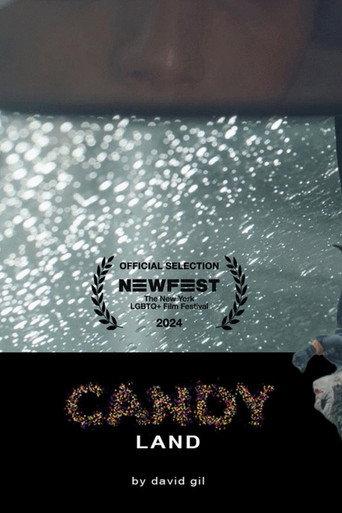 Candyland () poster