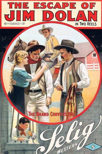 The Escape of Jim Dolan (1913) poster