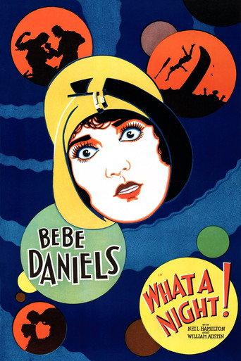 What a Night! (1928) poster